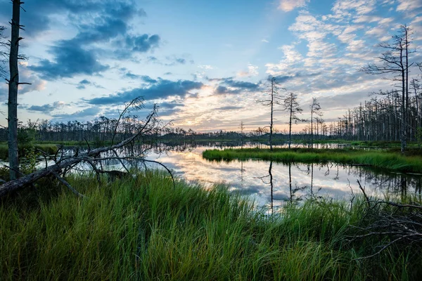 Bergrivier in de zomer — Stockfoto