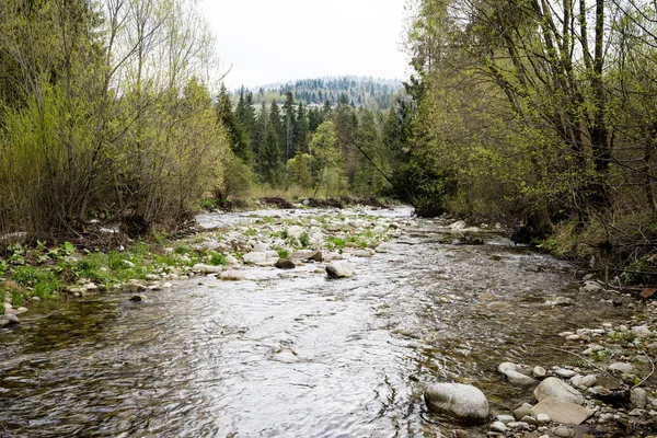 Fiume di montagna in estate — Foto Stock