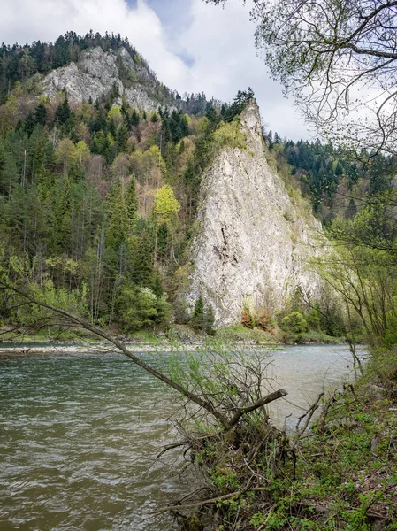 Górska rzeka latem — Zdjęcie stockowe