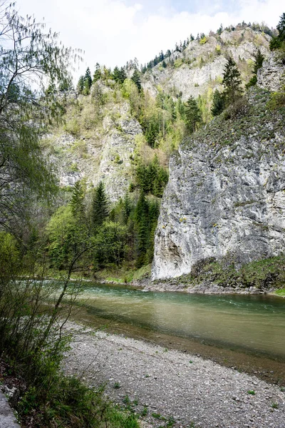 Fjällälv på sommaren — Stockfoto