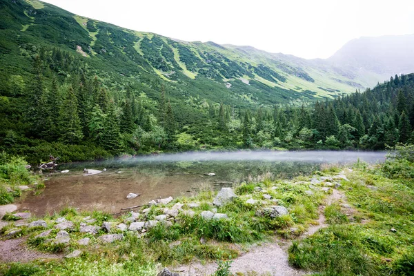 Nebbioso lago di montagna in estate — Foto Stock