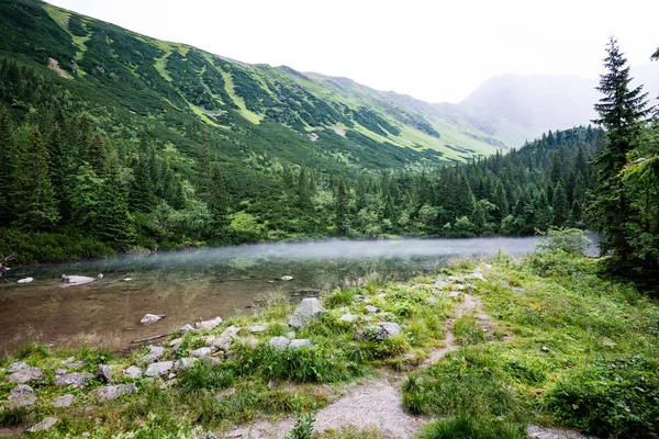 Nebbioso lago di montagna in estate — Foto Stock