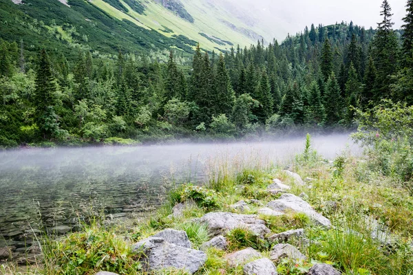 Sisli dağ gölü yaz aylarında — Stok fotoğraf