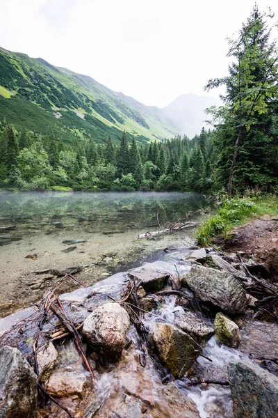 Sisli dağ gölü yaz aylarında — Stok fotoğraf
