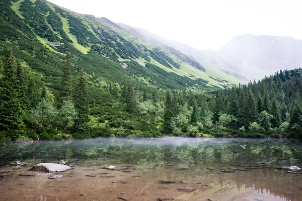 Nebbioso lago di montagna in estate — Foto Stock