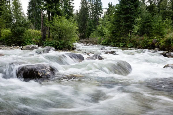 Gebirgsfluss im Sommer — Stockfoto