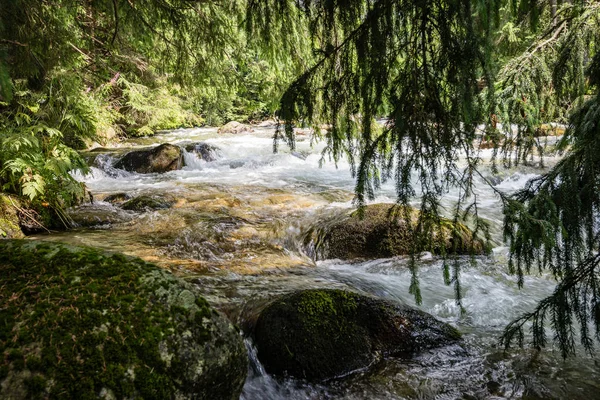 Fiume di montagna in estate — Foto Stock