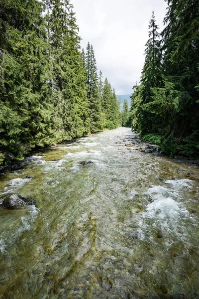 Río de montaña en verano — Foto de Stock