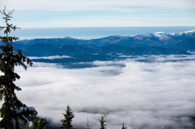 Kışın kar ağaçlarda