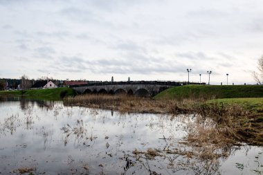 ağaç dalları sonbahar renkli su yansımalar