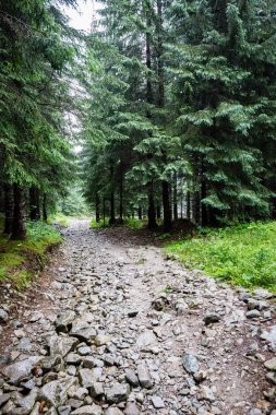 İlerideki Yol
