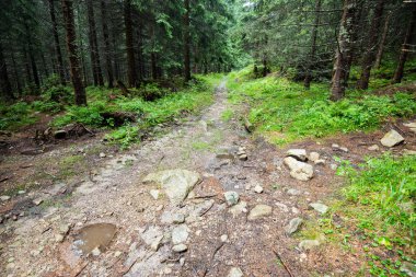İlerideki Yol