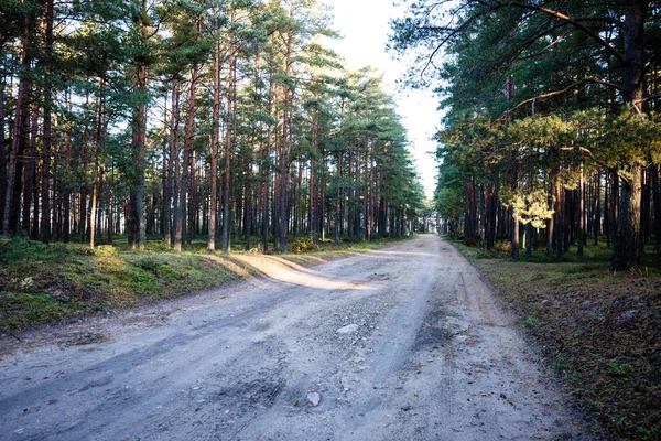 İlerideki Yol — Stok fotoğraf