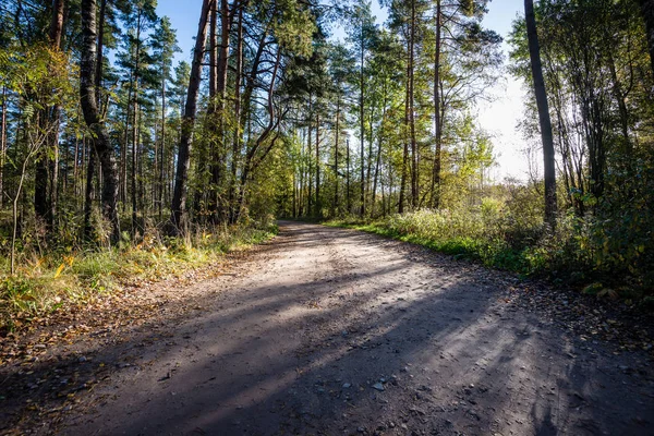 The road ahead — Stock Photo, Image