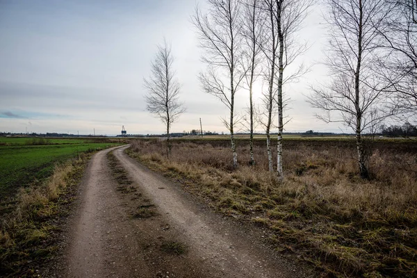 De weg vooruit — Stockfoto