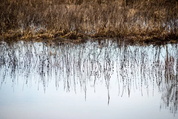 Reflecties van takken in de herfst gekleurde water — Stockfoto