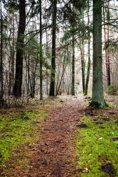 Cesta před námi — Stock fotografie