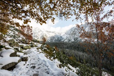 Karpat Dağları kış karda