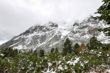 Karpat Dağları kış karda