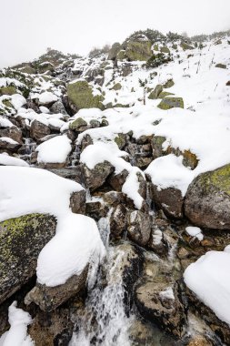 Karpat Dağları kış karda