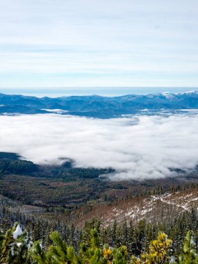 Karpat Dağları kış karda