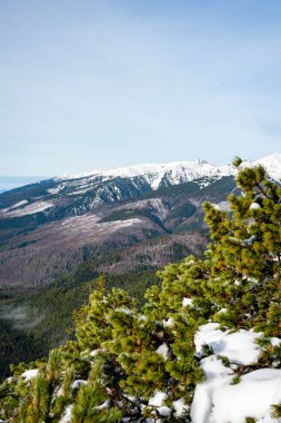 Karpat Dağları kış karda