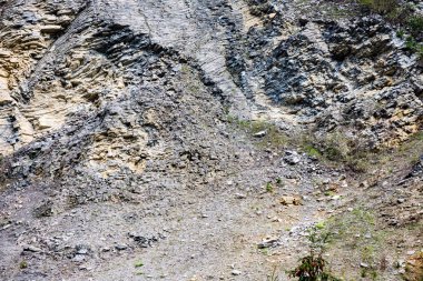 Yazın Karpat Dağları