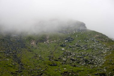 Yazın Karpat Dağları
