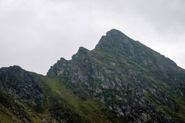 Yazın Karpat Dağları