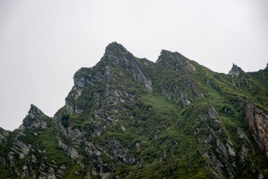 Yazın Karpat Dağları