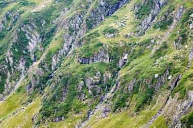 Yazın Karpat Dağları