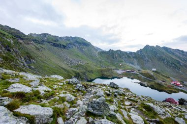 Yazın Karpat Dağları