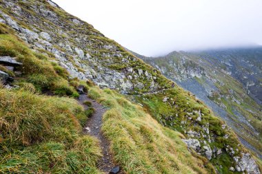 Yazın Karpat Dağları