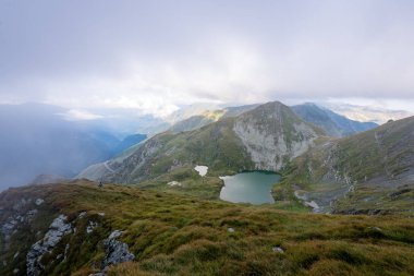 Yazın Karpat Dağları