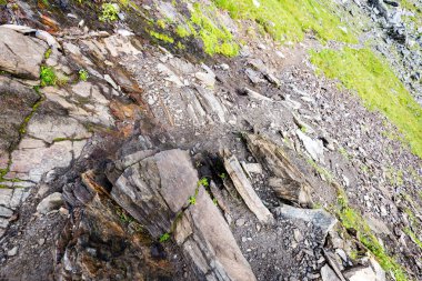 Yazın Karpat Dağları