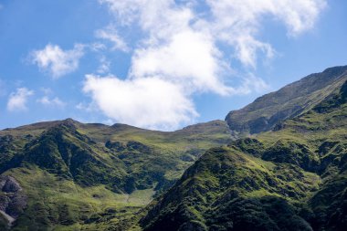 Yazın Karpat Dağları