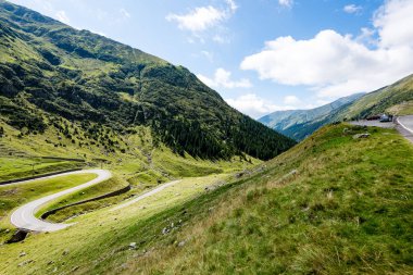 Yazın Karpat Dağları
