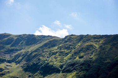 Yazın Karpat Dağları