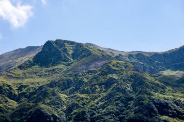 Yazın Karpat Dağları