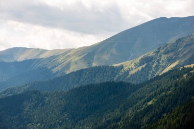 Yazın Karpat Dağları