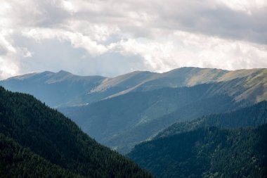 Yazın Karpat Dağları