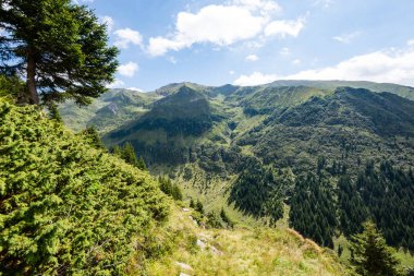 Yazın Karpat Dağları