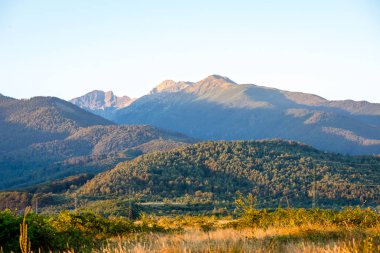 Yazın Karpat Dağları