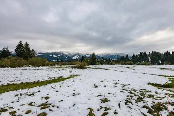 Montañas de Cárpatos en invierno nieve — Foto de Stock