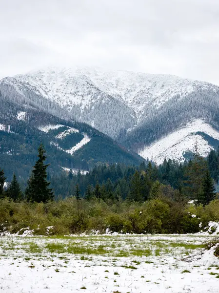 Montanhas dos Cárpatos na neve de inverno — Fotografia de Stock