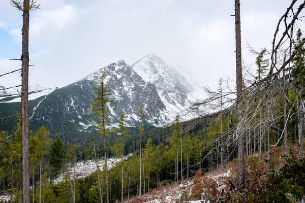 Karpat Dağları kış karda — Stok fotoğraf