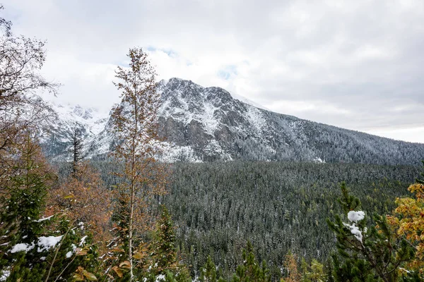 Montanhas dos Cárpatos na neve de inverno — Fotografia de Stock