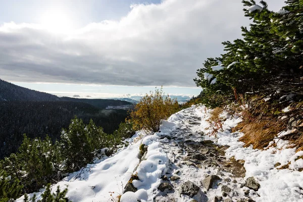 Karpaty v zimě sněhem — Stock fotografie