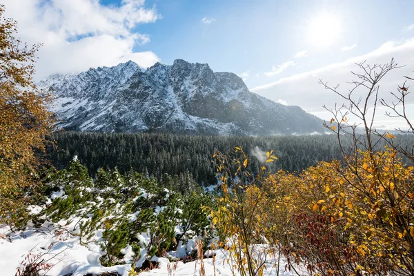 Karpaty v zimě sněhem — Stock fotografie