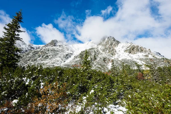 Montañas de Cárpatos en invierno nieve — Foto de Stock